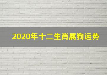 2020年十二生肖属狗运势