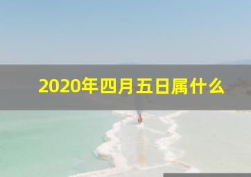 2020年四月五日属什么