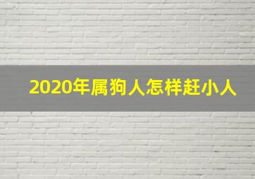 2020年属狗人怎样赶小人