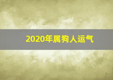 2020年属狗人运气