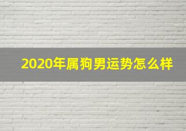 2020年属狗男运势怎么样