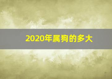 2020年属狗的多大