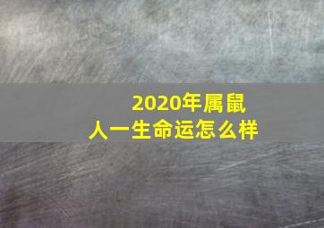 2020年属鼠人一生命运怎么样