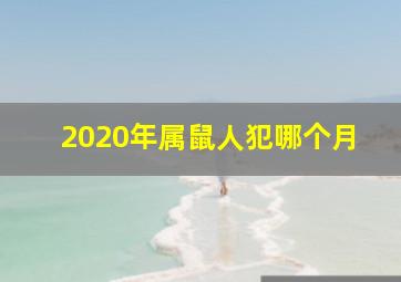 2020年属鼠人犯哪个月