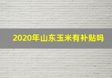 2020年山东玉米有补贴吗