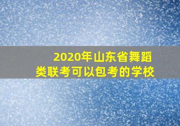 2020年山东省舞蹈类联考可以包考的学校