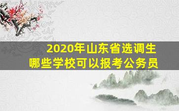 2020年山东省选调生哪些学校可以报考公务员