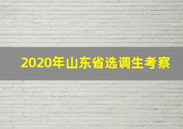 2020年山东省选调生考察