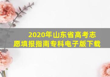 2020年山东省高考志愿填报指南专科电子版下载