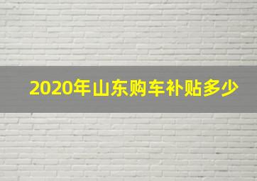 2020年山东购车补贴多少