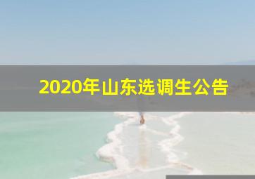 2020年山东选调生公告