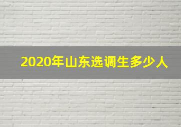 2020年山东选调生多少人