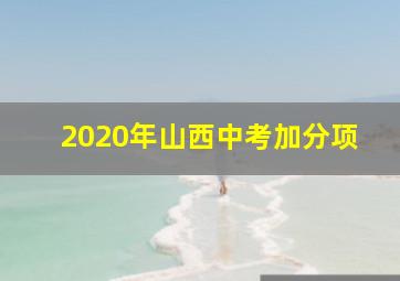 2020年山西中考加分项