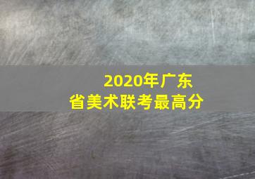 2020年广东省美术联考最高分