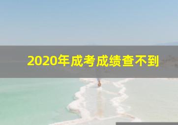 2020年成考成绩查不到