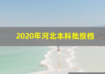 2020年河北本科批投档