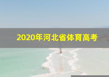 2020年河北省体育高考