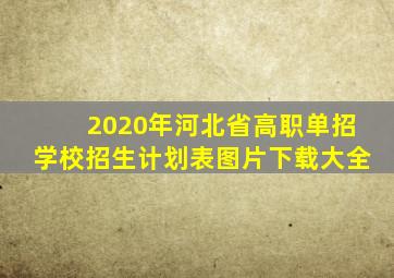 2020年河北省高职单招学校招生计划表图片下载大全