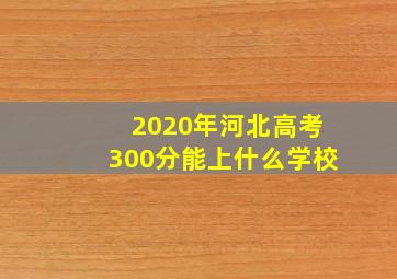 2020年河北高考300分能上什么学校