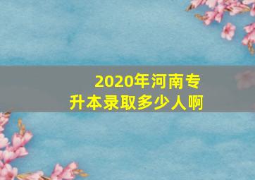 2020年河南专升本录取多少人啊