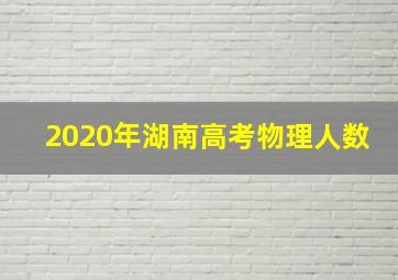 2020年湖南高考物理人数