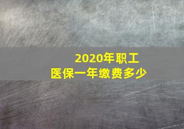 2020年职工医保一年缴费多少