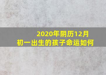 2020年阴历12月初一出生的孩子命运如何