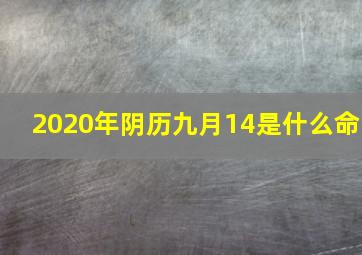 2020年阴历九月14是什么命