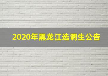 2020年黑龙江选调生公告