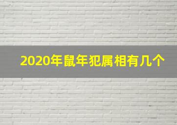 2020年鼠年犯属相有几个