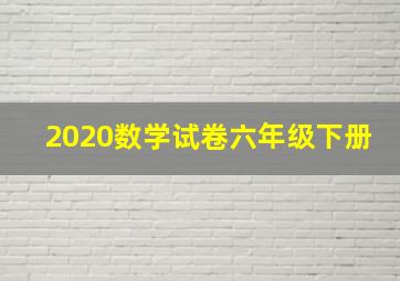 2020数学试卷六年级下册