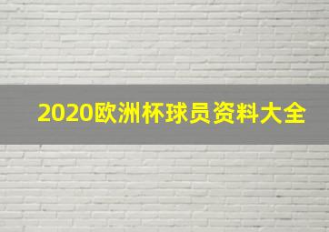 2020欧洲杯球员资料大全