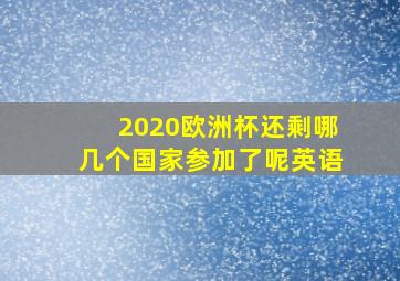 2020欧洲杯还剩哪几个国家参加了呢英语