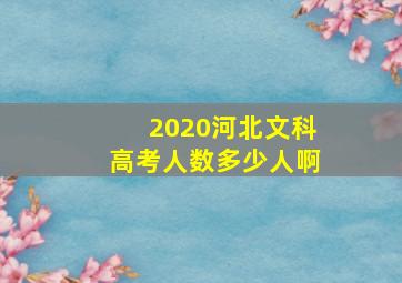 2020河北文科高考人数多少人啊