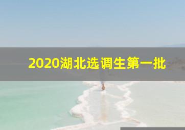 2020湖北选调生第一批