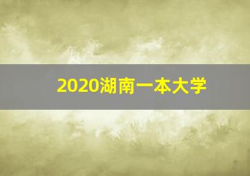 2020湖南一本大学