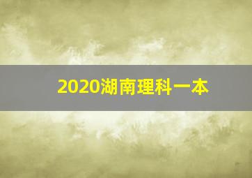 2020湖南理科一本