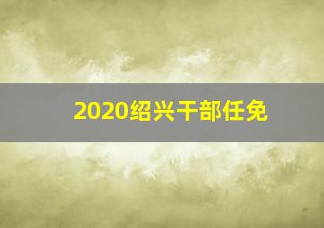 2020绍兴干部任免