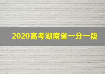 2020高考湖南省一分一段