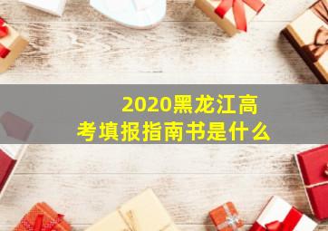 2020黑龙江高考填报指南书是什么