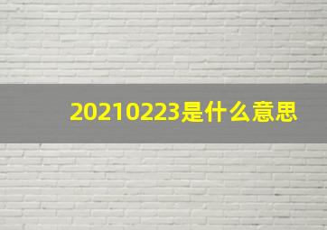 20210223是什么意思