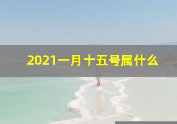 2021一月十五号属什么