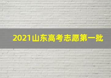 2021山东高考志愿第一批