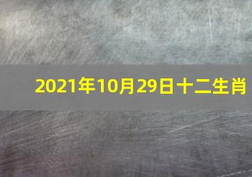 2021年10月29日十二生肖