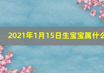 2021年1月15日生宝宝属什么