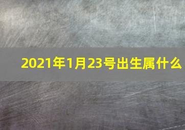 2021年1月23号出生属什么