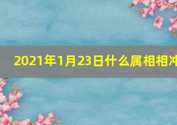 2021年1月23日什么属相相冲