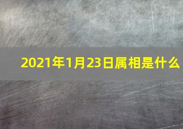 2021年1月23日属相是什么