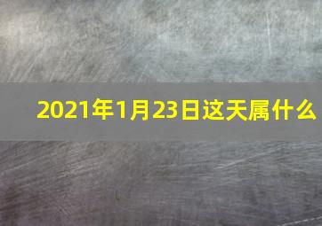 2021年1月23日这天属什么