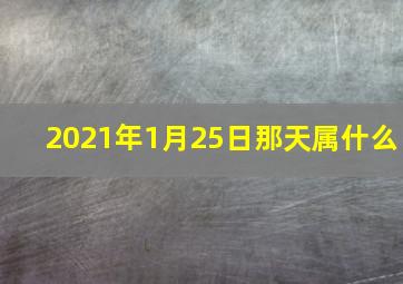 2021年1月25日那天属什么